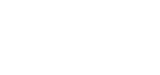 Dress Shirts - Big Frog